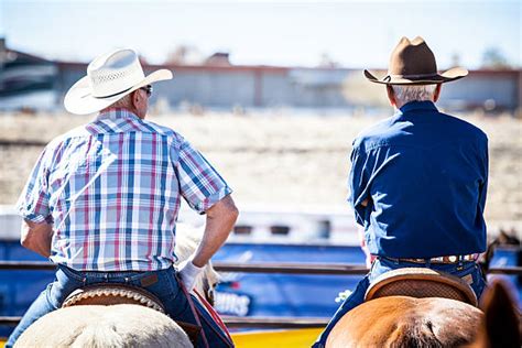 Image result for Practice Team Roping