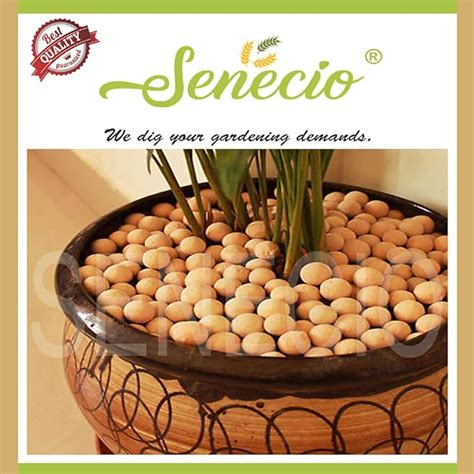 SENECIO 5 Kg Non Floating HYDROTON Clay Balls for Plants, Lightweight ...