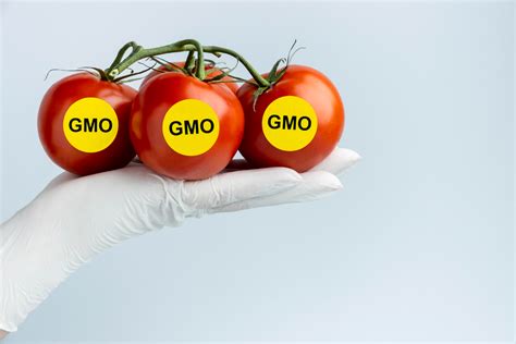 Genetically Modified 的图像结果