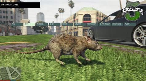 Image result for GTA Native Trainer