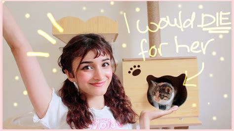 Adopting Cats In Japan - YouTube