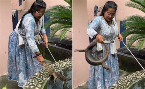 पानी की टंकी में गिरी मॉनिटर छिपकली को महिला ने नंगे हाथों से जैसे ही ...