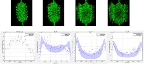 Mathematical Scientific Modelling Website 的图像结果