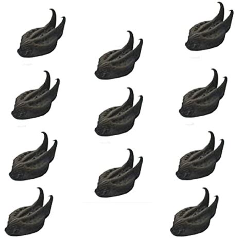 RUKDA Bat Head Roots Seeds/Devil Pods/Evil Pods/Wood Devil/Kaknasa ...