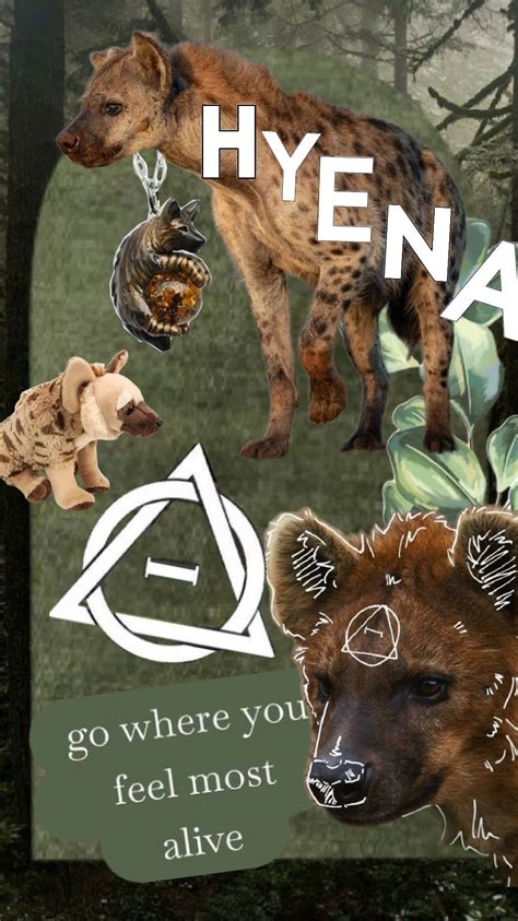 Hyena Therian wallpaper in 2024 | Hyena, Brown hyena, Pretty animals