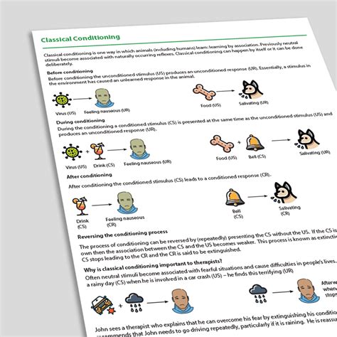 Classical Conditioning Explained 的图像结果