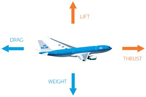 Image result for How Does Flight Work