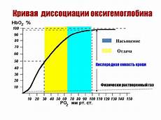 Гецати в Осетии: финалист