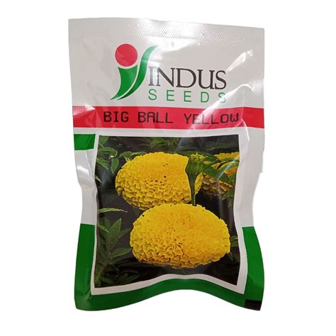 Pushpak Yellow Marigold Seeds - Indus | F1 Hybrid | Buy Online Now ...