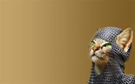 Humour Wallpapers 的图像结果