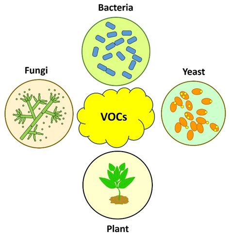 Volatile Organic Compounds: A Review of Their Current Applications as ...