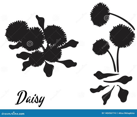Silhouette of Daisy Flower. Bouquet of Daisies Stock Vector - Illustration of spring, botanic ...