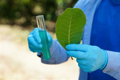 Freesciencelessons Sampling 的图像结果