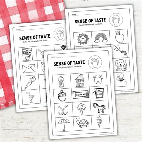 Understanding What Age Does Kindergarten Start