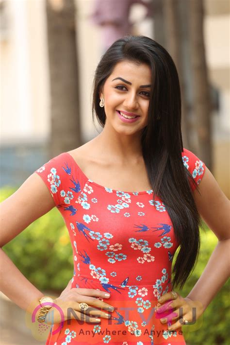 Actress Nikki Galrani Latest Stills | 127254 | Galleries & HD Images