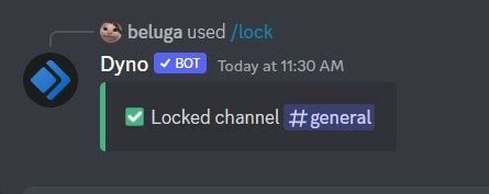 AFK Dyno Bot 的图像结果