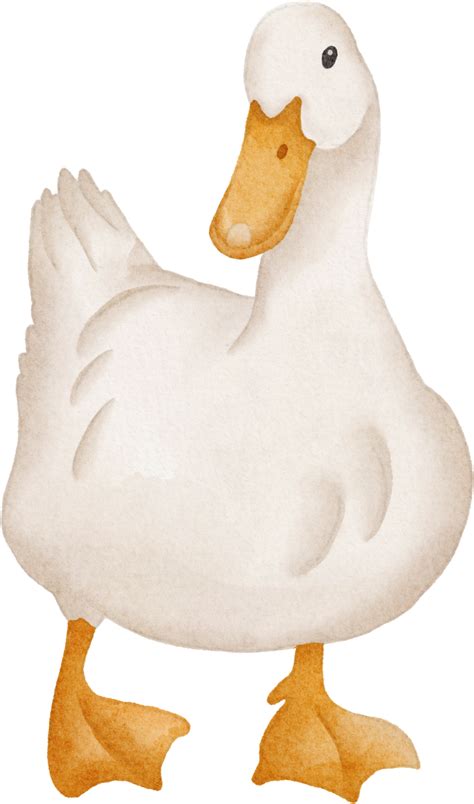 Clipart Duck