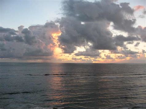 WNET 2008 Conference 的图像结果