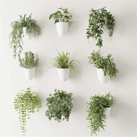 MakeGood PlantPod Classic - Self-Watering Wall Planters 9, India | Ubuy