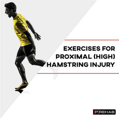 Hamstring Rehab Exercises