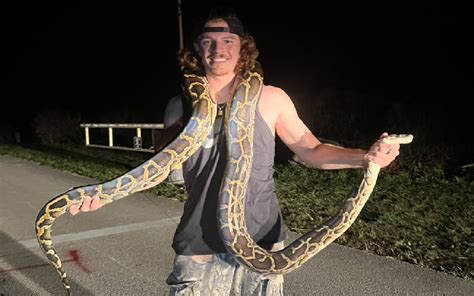 Image result for Python Hunters Bitten