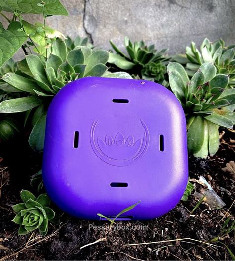 Discreet Pessary Storage Case Container With Vented Lid And Personal ...