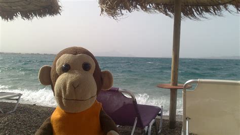 Cute Stuffed Monkey Toy - Oropos