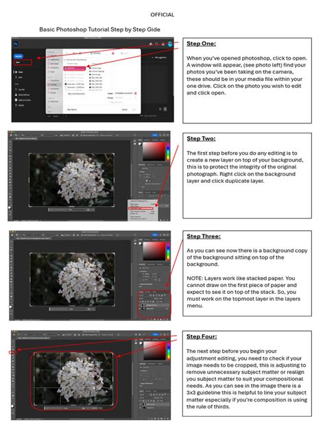 Image result for Basic Photoshop Tutorial PDF