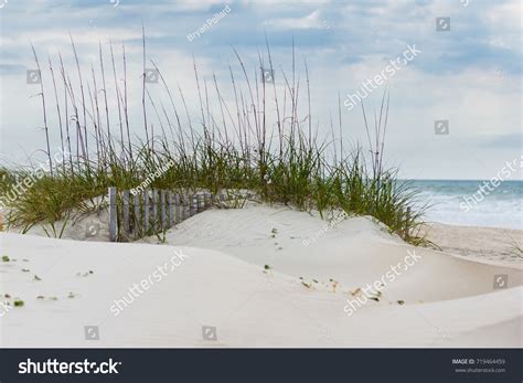 Crystal Coast North Carolina: Over 237 Royalty-Free Licensable Stock ...