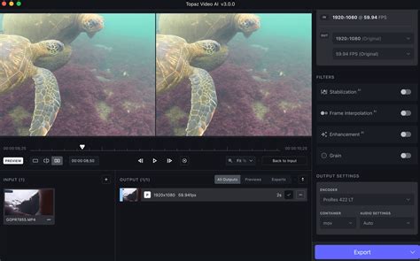 Image result for Topaz Video Enhance AI Tutorial
