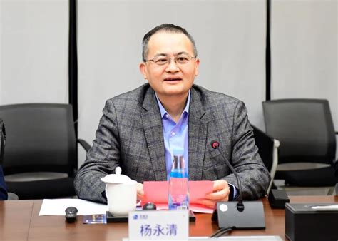 中联地产集团董事长兼CEO杜欣简介-深圳房天下