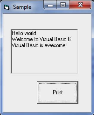 Image result for Visual Basic Printing Examples