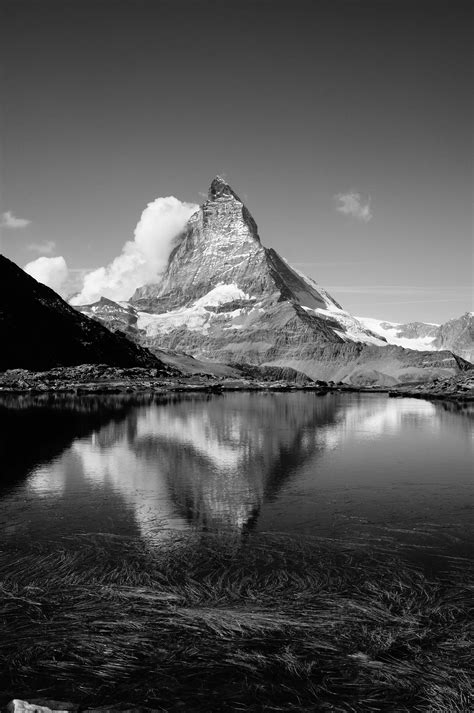 Disinterested Vs Uninterested