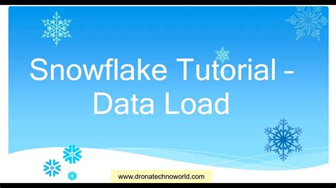 Snowflake Data Type Symbols 的图像结果