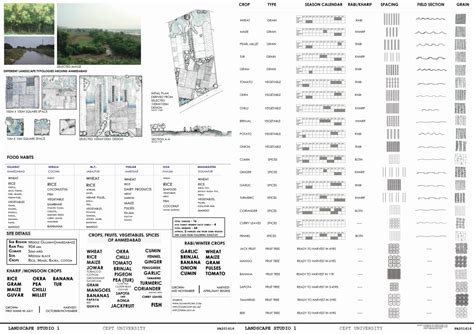 Soundscape, returnig to our root and Scars | CEPT - Portfolio