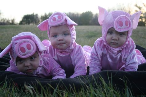preschool three little pigs costume - Google Search | Pig halloween ...