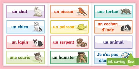 French Pets Word Cards (teacher made) - Twinkl