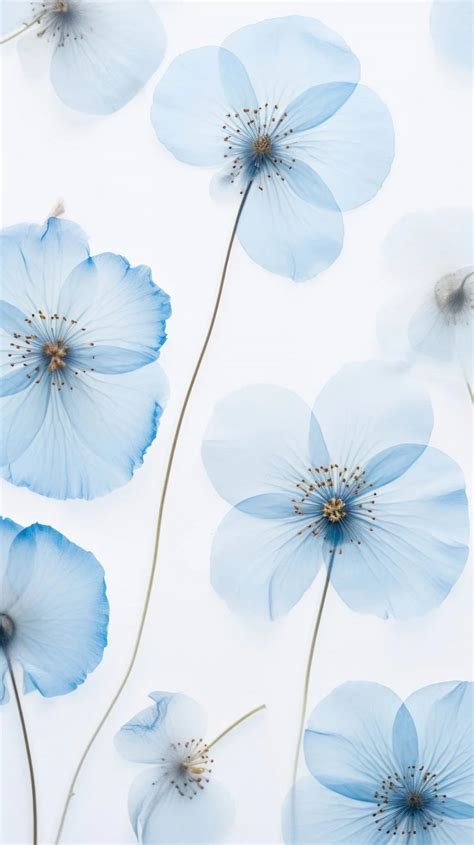 Stunning Blue Flower Wallpapers for iPhone