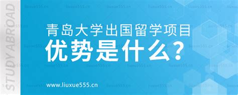 学院留学生在首届“山海青缘—我的留学青岛故事”系列大赛中喜获佳绩