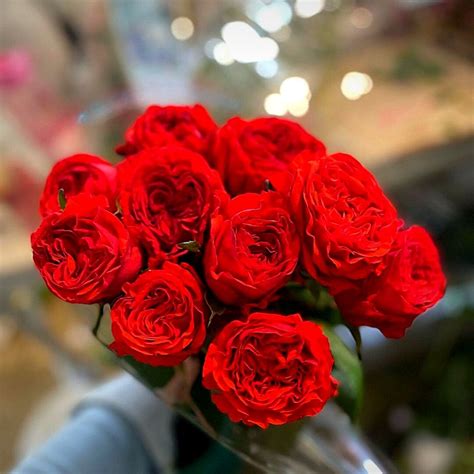 Red Rose Day Images at Albina Giese blog