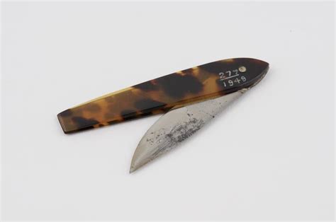 Infected Abscess Lanced 的图像结果