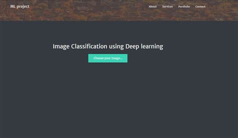 Deploy Model Using Flask 的图像结果