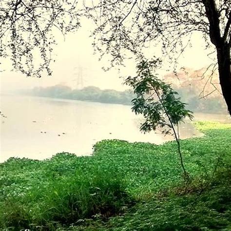 Okhla Bird Sanctuary | LBB