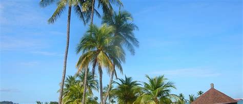 Tanjong Beach, Singapore: How to Reach, Things to Do | Pickyourtrail