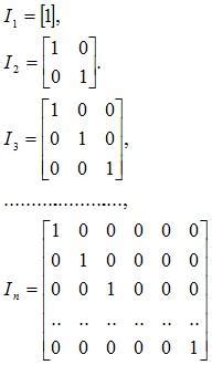 Identity Matrix 的图像结果