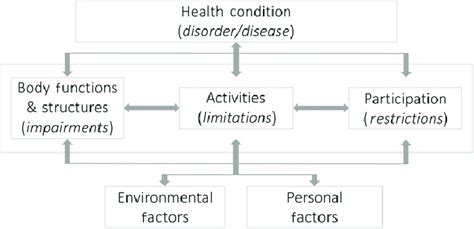 Image result for International Classification of Functioning Scoring