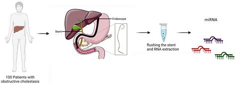 Exploring microRNAs in Bile Duct Stents as Diagnostic Biomarkers for Biliary Pathologies