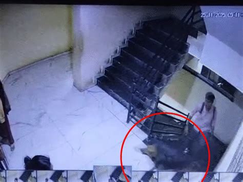 A woman with a dog in an apartment in Kotharia area scolded her ...