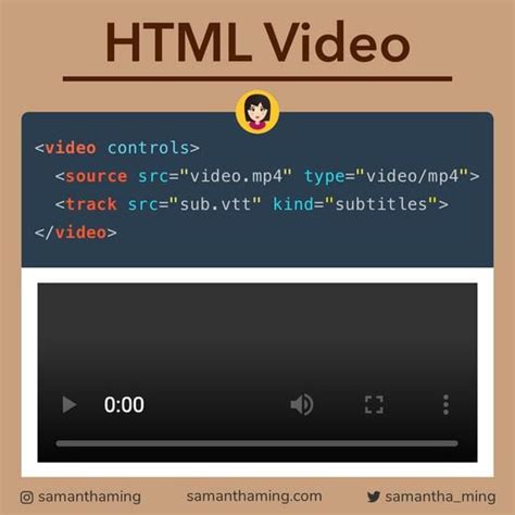 Image result for HTML5 Video Tag Example