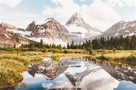 Image result for Examples of Projects in Machine Learning